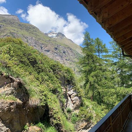 Appartements Zermatt Paradies المظهر الخارجي الصورة