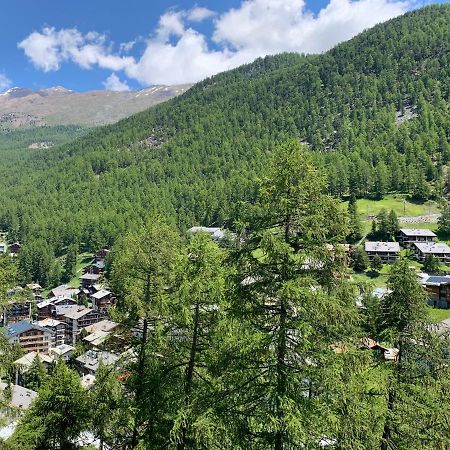 Appartements Zermatt Paradies المظهر الخارجي الصورة
