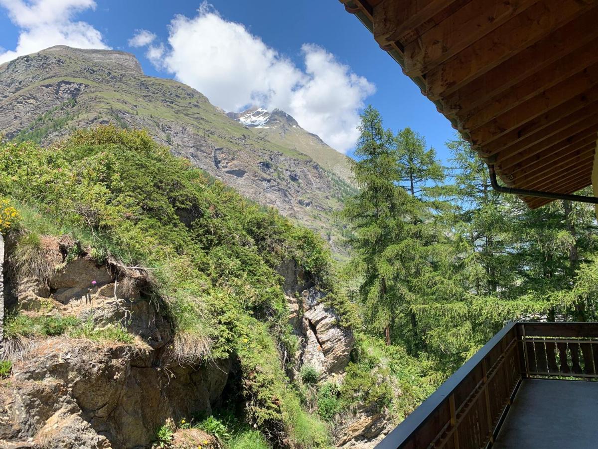 Appartements Zermatt Paradies المظهر الخارجي الصورة
