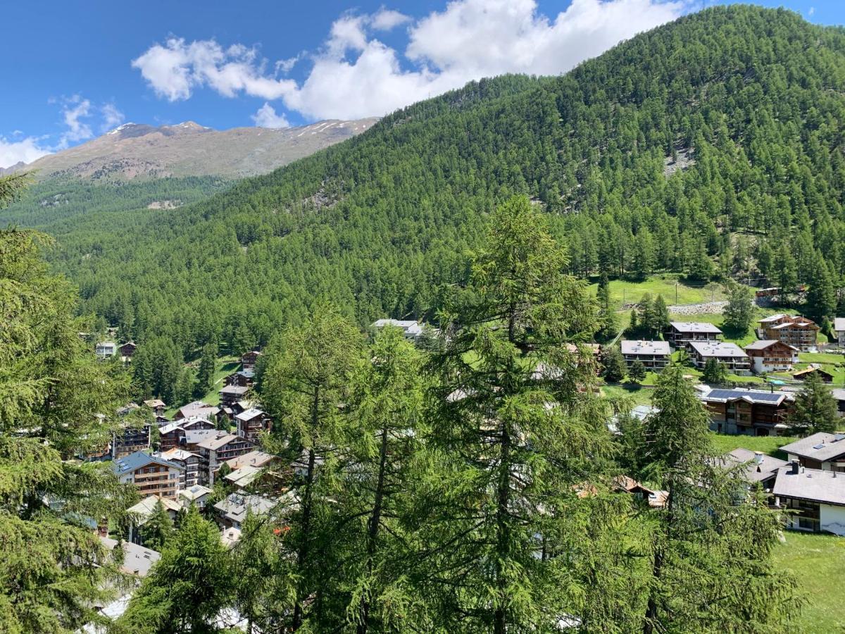 Appartements Zermatt Paradies المظهر الخارجي الصورة