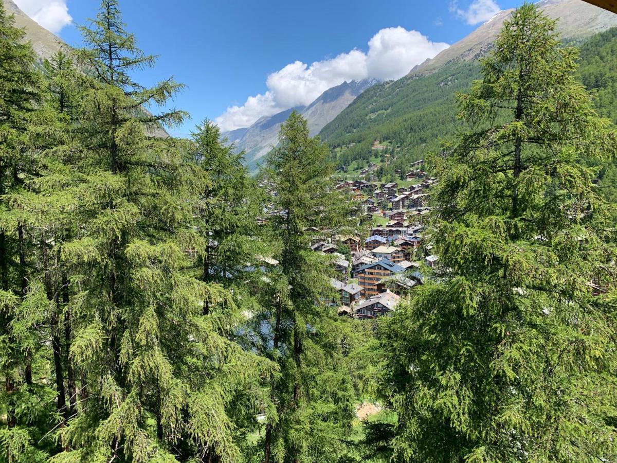 Appartements Zermatt Paradies المظهر الخارجي الصورة