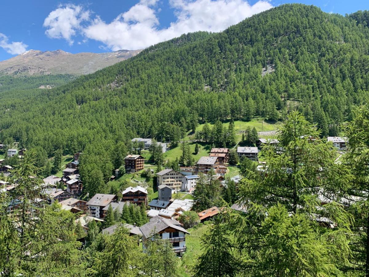 Appartements Zermatt Paradies المظهر الخارجي الصورة