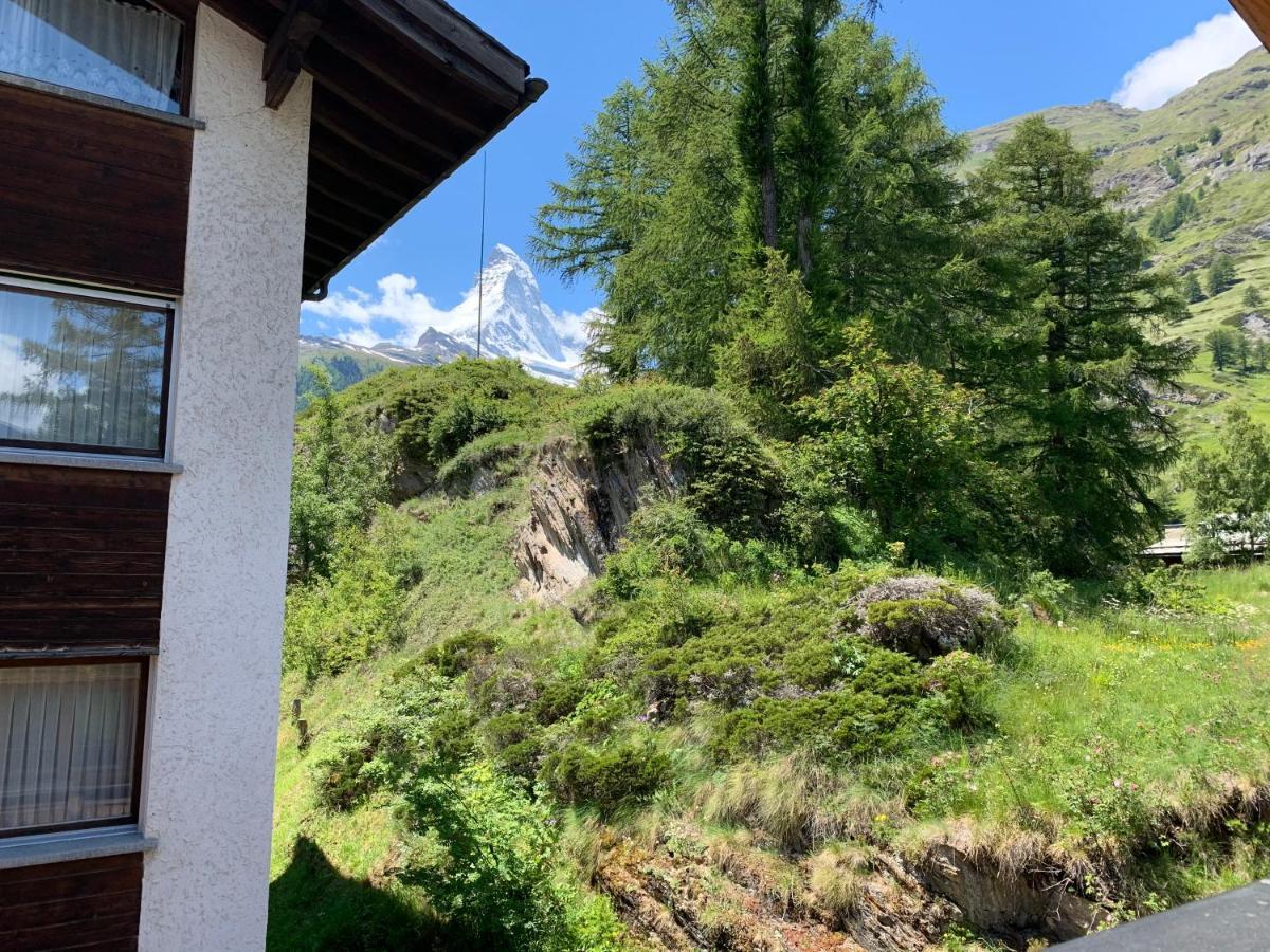Appartements Zermatt Paradies المظهر الخارجي الصورة