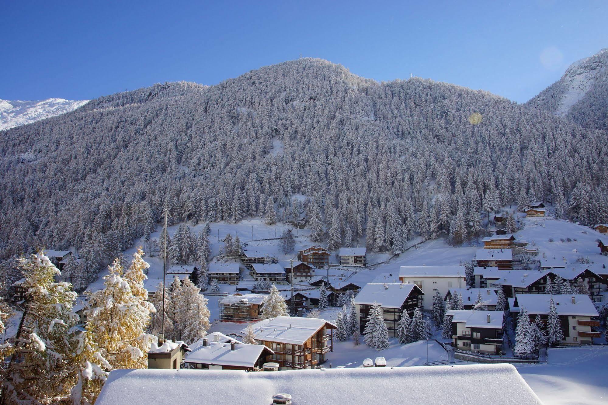 Appartements Zermatt Paradies المظهر الخارجي الصورة